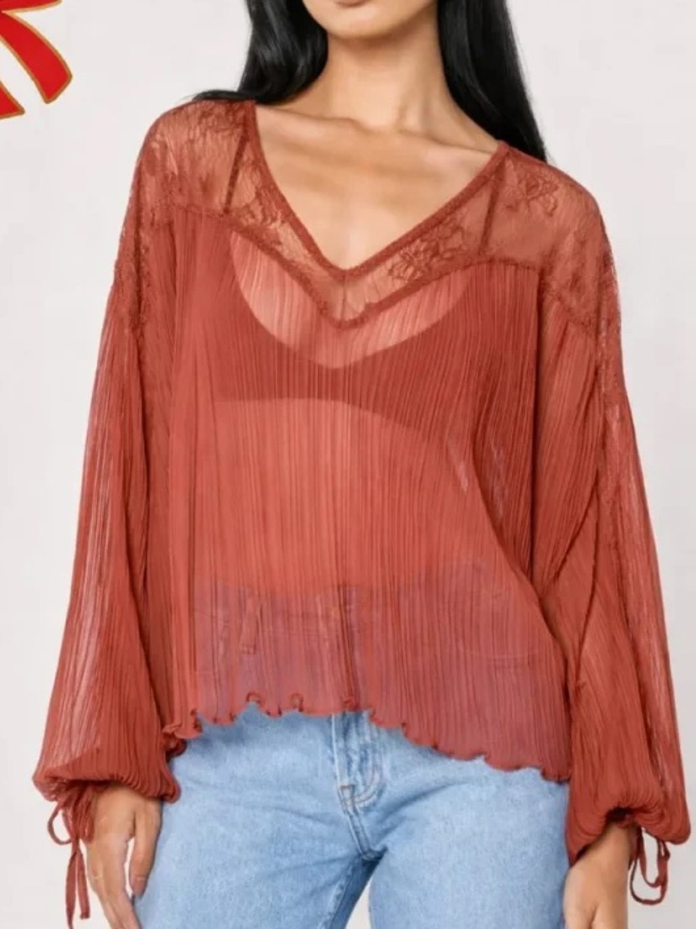 Zara Sheer V-Neck Long Sleeve Blouse